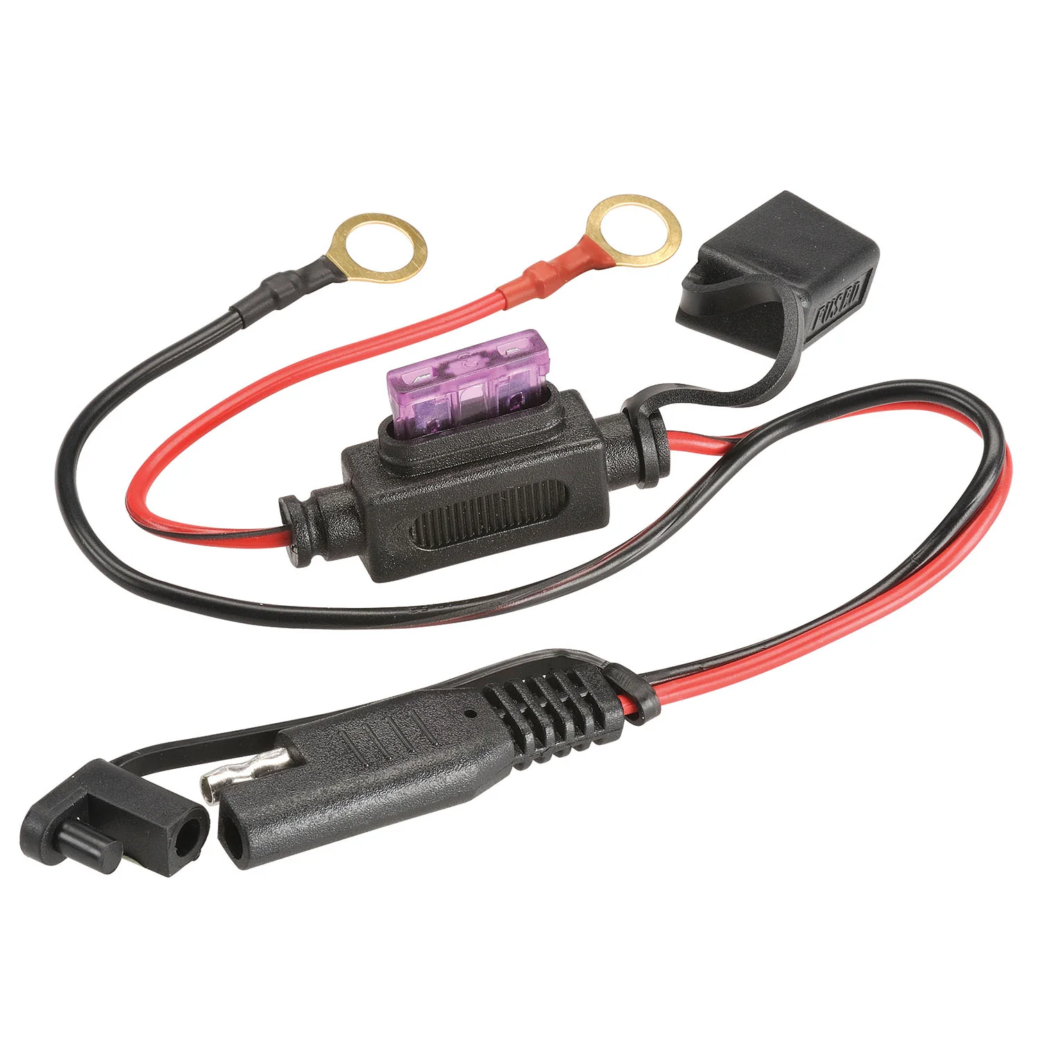 Charge N Maintain AC008, 4 Stage Battery Charger, 0.8A 12V - Image 6
